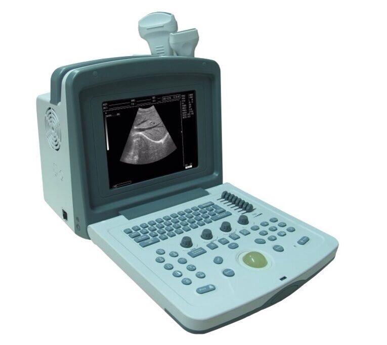 Veterinary Digital Ultrasound Scanner with one probe Low price, Good quality DIAGNOSTIC ULTRASOUND MACHINES FOR SALE