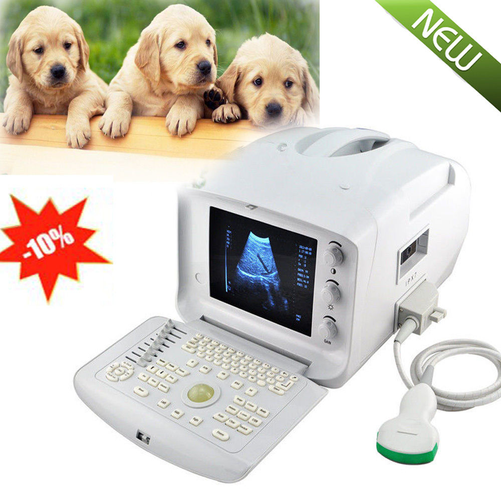Free 3D Veterinary Digital Ultrasound Scanner 3.5Mhz Convex Probe Vet Medical CE 190891465429 DIAGNOSTIC ULTRASOUND MACHINES FOR SALE