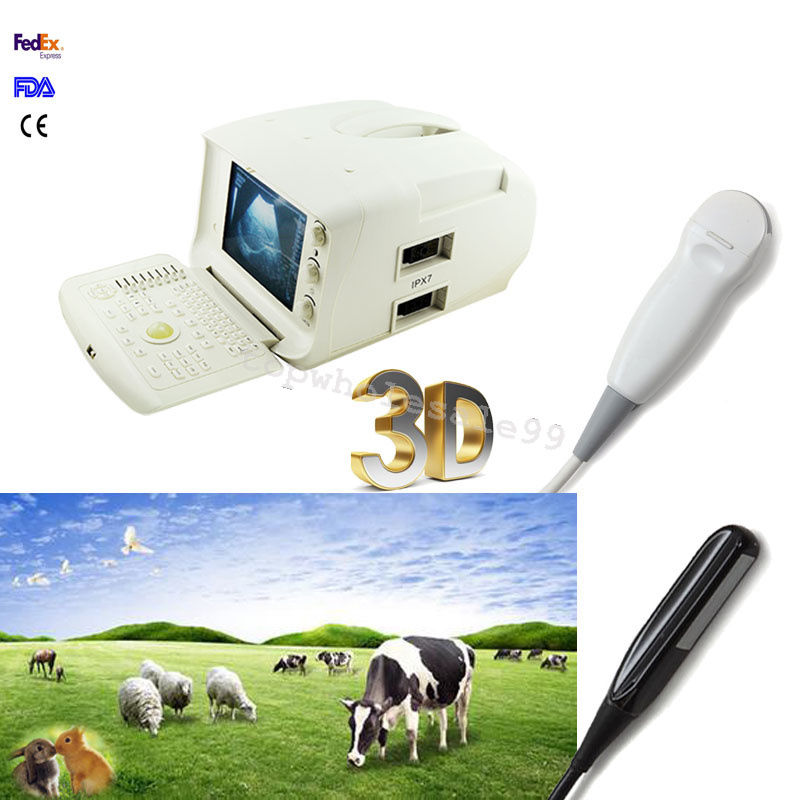 S Ultrasound Scanner,Waterproof Rectal,Micro-convex Probe Veterinary scan 10.1'' 190891926203 DIAGNOSTIC ULTRASOUND MACHINES FOR SALE