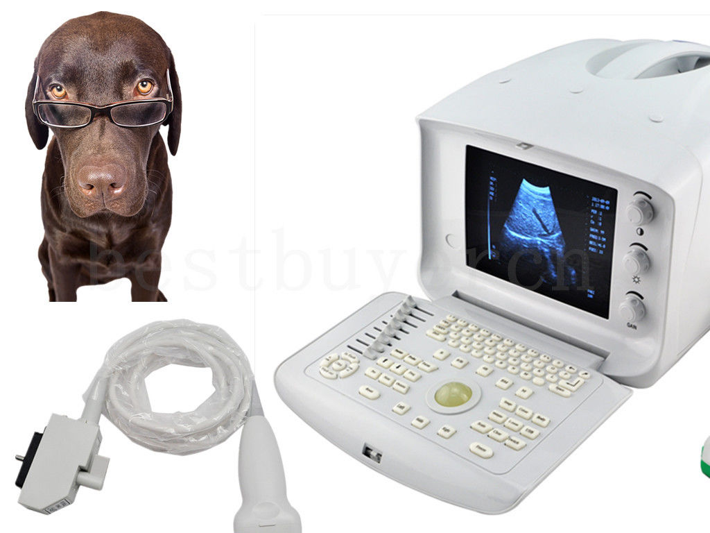 Portable vet used ultrasound scanner & animals ultrasound machine+Linear probe DIAGNOSTIC ULTRASOUND MACHINES FOR SALE