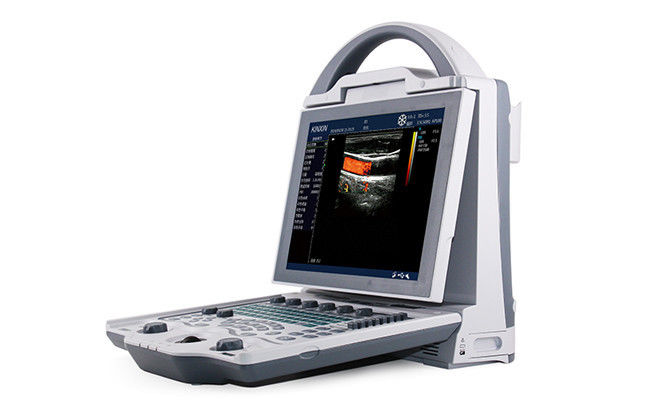 Newest Large Animals Veterinary Color Doppler Ultrasound Scanner & Rectal Probe DIAGNOSTIC ULTRASOUND MACHINES FOR SALE