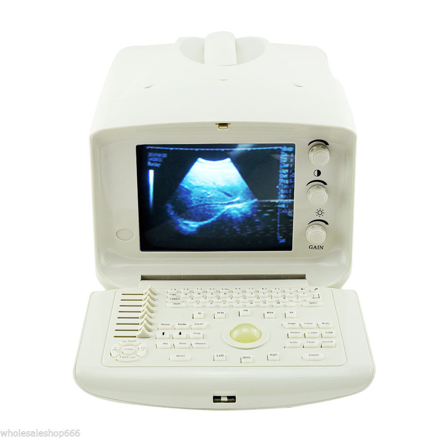 Free 3D Veterinary Digital Ultrasound Scanner 3.5Mhz Convex Probe Vet Medical CE 190891465429 DIAGNOSTIC ULTRASOUND MACHINES FOR SALE