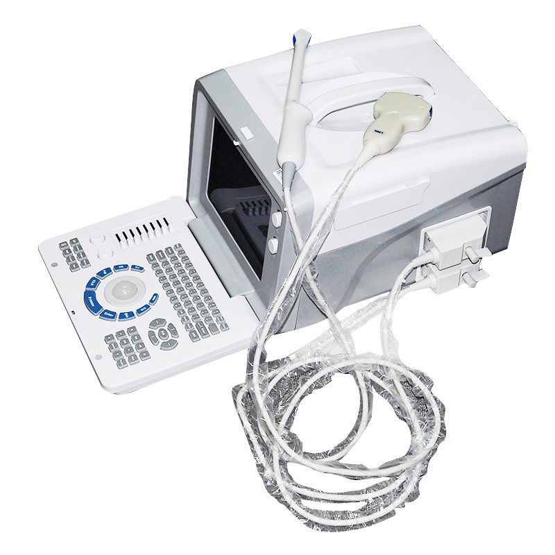 Digital B Ultrasound Scanner Machine Convex/Curved+Transvaginal Probe Sale 3D DIAGNOSTIC ULTRASOUND MACHINES FOR SALE