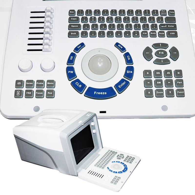 Digital B Ultrasound Scanner Machine Convex/Curved+Transvaginal Probe Sale 3D DIAGNOSTIC ULTRASOUND MACHINES FOR SALE