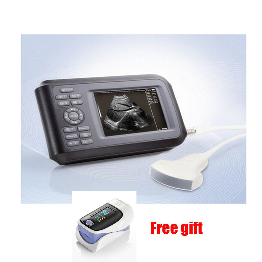 Handheld Ultrasound Scanner/Machine Convex Probe Abdominal Ultrasound Human Sale 190891466976 DIAGNOSTIC ULTRASOUND MACHINES FOR SALE