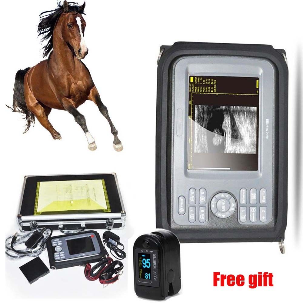 Veterinary/VET Digital Ultrasound Scanner Machine Rectal Probe Case Oximeter 190891379924 DIAGNOSTIC ULTRASOUND MACHINES FOR SALE