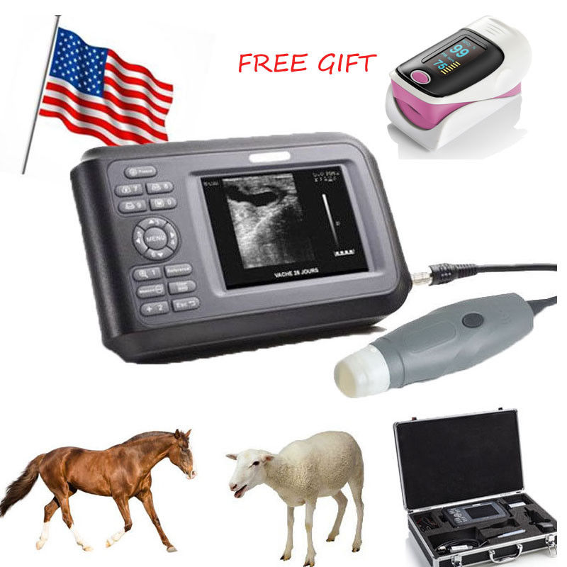 Veterinary Ultrasound Scanner Rectal Probe For Pig Sheep Dog Pregnancy+Oximeter 190891468284 DIAGNOSTIC ULTRASOUND MACHINES FOR SALE