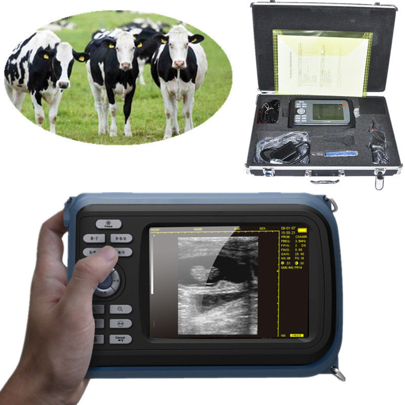 DHL Fast Ship Color Veterinary Digital PalmSmart Ultrasound Scanner+Rectal Probe 190891833501 DIAGNOSTIC ULTRASOUND MACHINES FOR SALE