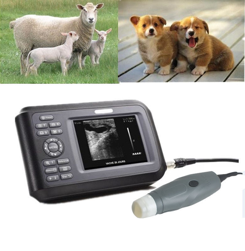 Palmtop Veterinary Ultrasound Scanner Ultrasound Machine Probe Diagnosis Machine DIAGNOSTIC ULTRASOUND MACHINES FOR SALE