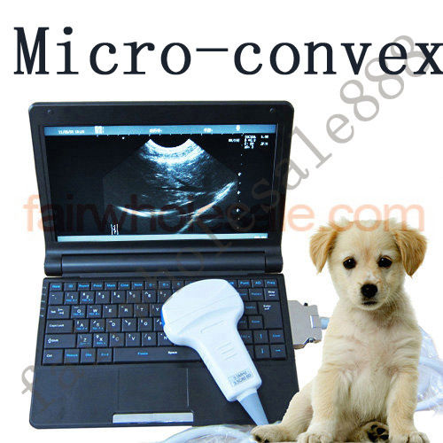 Veterinary Digital Laptop Ultrasound Scanner Machine Vet Pet Micro-convex Probe 190891457509