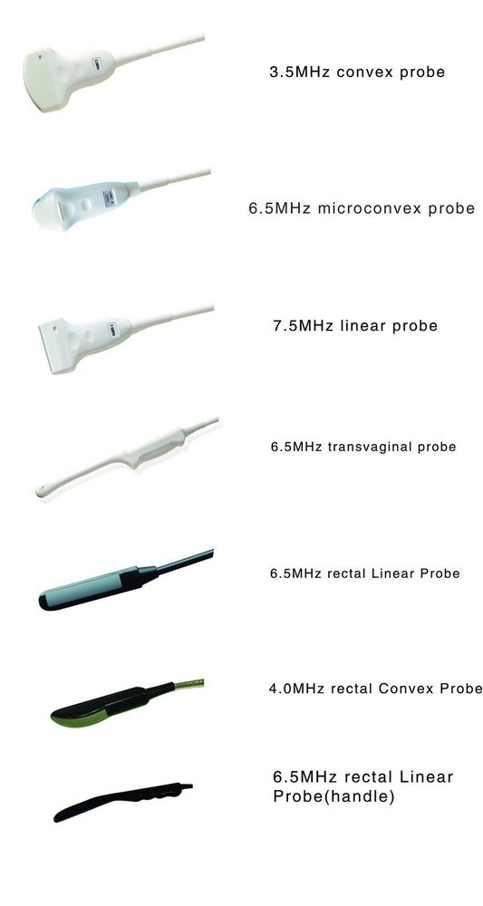 Probes for KX2600