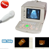 Medical Ultrasound Scanner/Machine 5.0 Micro-convex Array Probe Factory SEll CE* 190891843524