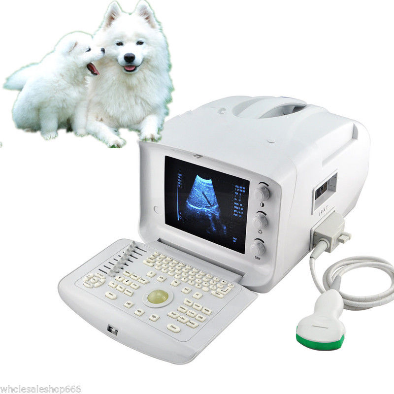 Free 3D Veterinary Digital Ultrasound Scanner 3.5Mhz Convex Probe Vet Medical CE 190891465429 DIAGNOSTIC ULTRASOUND MACHINES FOR SALE