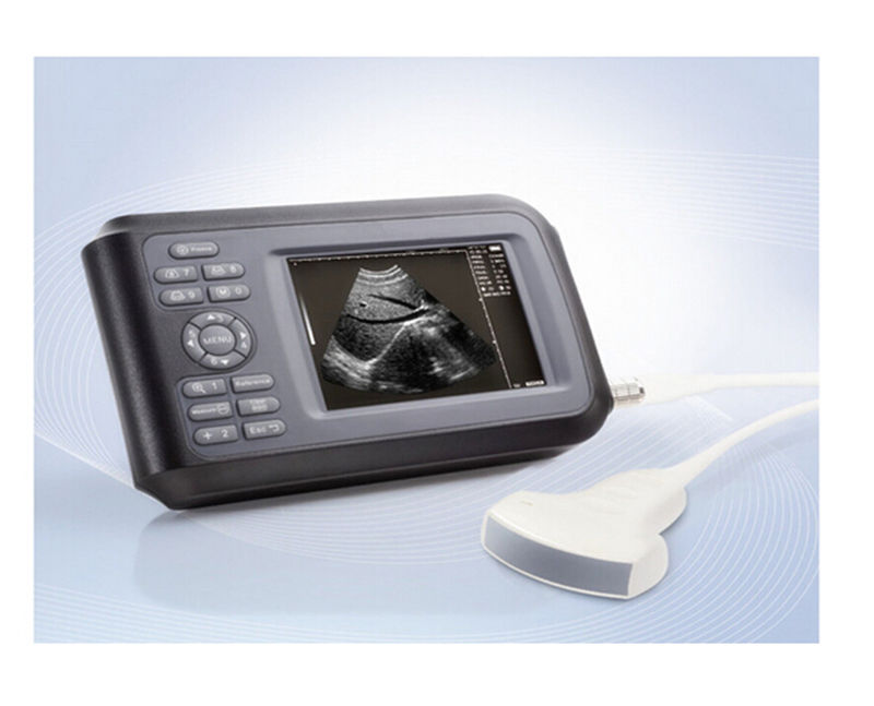 5.5 " Handheld Ultrasound Scanner/Machine  Digital +Convex Probe+Case Human Sale 190891767349 DIAGNOSTIC ULTRASOUND MACHINES FOR SALE