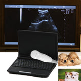 Veterinary vet Full Digital Laptop Ultrasound Scanner Micro-Convex Probe Free 3D 190891712110