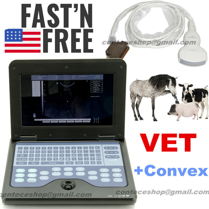 Animal Ultrasound Scanner Digital Laptop Portable VET 3.5 Convex Probe Fedex 658126883672 DIAGNOSTIC ULTRASOUND MACHINES FOR SALE