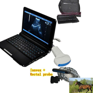 Vet Animal Veterinary Ultrasound Scanner Machine Convex + Rectal Probe 3D Sheep 190891941893