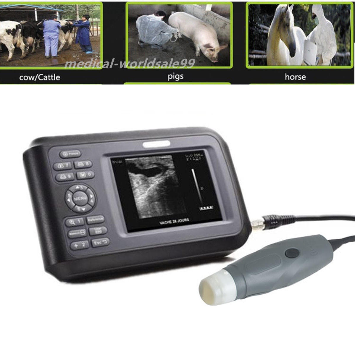 Portable Veterinary/VET  Ultrasound Scanner Rectal Probe For Pig Dog Pregnancy 190891468284 DIAGNOSTIC ULTRASOUND MACHINES FOR SALE