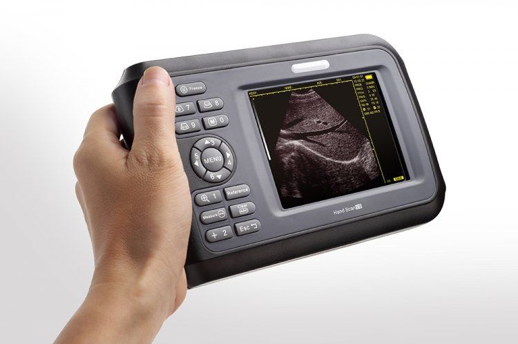 USA! Veterinary Handheld Machine Ultrasound Scanner horse/Animal,Rectal Probe CE