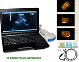 Laptop Ultrasound Scanner Diagnostic Ultrasonic Unit Convex linear 2Probe 3D AA 190891663399