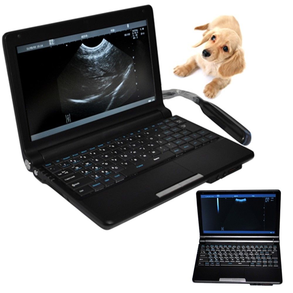 CE Veterinary Animals Laptop Machine Ultrasound Scanner Scan System Rectal Probe