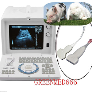 Veterinary Convex Linear Probe VET Ultrasound Scanner Machine 3D Animal Pregnant