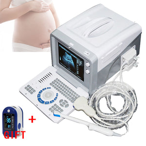 Digital Portable Ultrasound Scanner Machine + Convex & Transvaginal 2 Probes DHL 190891270993