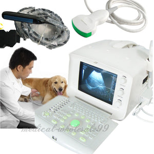 Vet Ultrasound Scanner/Machine Convex+Vet Rectal Probes Animals Pregnancy 3D  190891815767