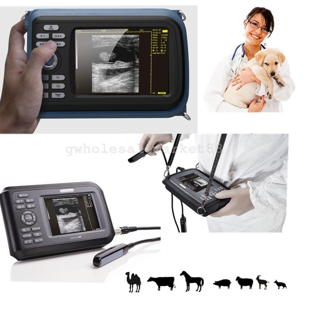 US Veterinary Handheld Machine Ultrasound Scanner Animals Farm Rectal Probe New DIAGNOSTIC ULTRASOUND MACHINES FOR SALE