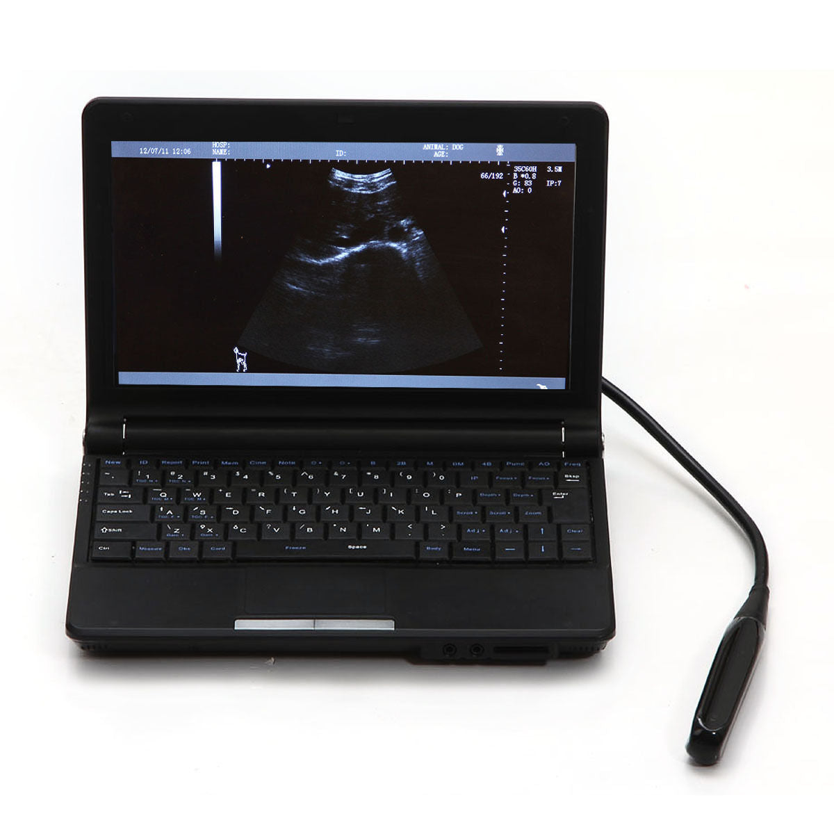 New Livestock Animal laptop Ultrasound Scanner Veterinary Endo+Rectal probe Goat DIAGNOSTIC ULTRASOUND MACHINES FOR SALE