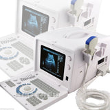 10'' Portable Ultrasound Scanner Machine Convex  Viginal Probe 3 D Ultrasound AA 190891478306