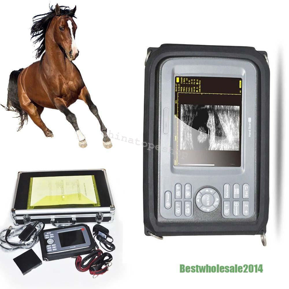 US Veterinary Digital Ultrasound Scanner Ultrasonic Machine Animal Rectal Probe 190891487247