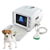 veterinarian B Ultrasound Scanner Machine  Micro-convex Array Probe Animals 3D 190891743565