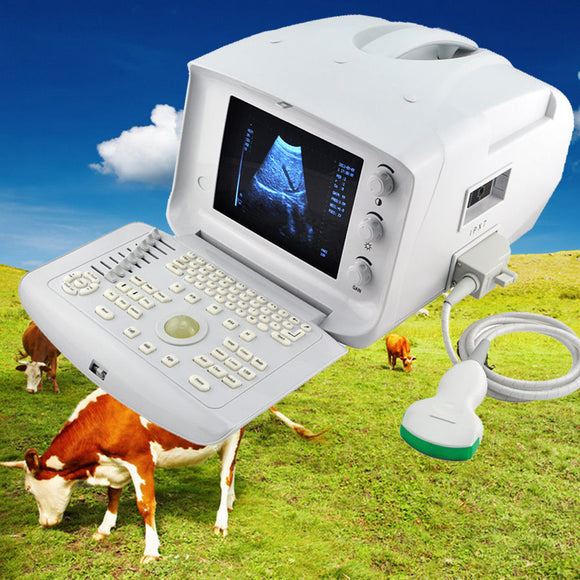 Portable Ultrasound Machine Scanner + convex probe+3D Veterinary Use super Clear 190891780218
