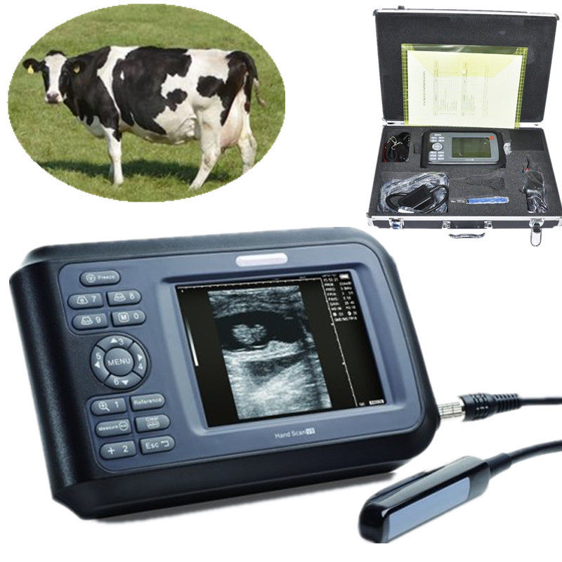 Handheld 5.5''Vet LCD Color Digital PalmSmart Ultrasound Scanner+Rectal Probe CE 190891828620 DIAGNOSTIC ULTRASOUND MACHINES FOR SALE