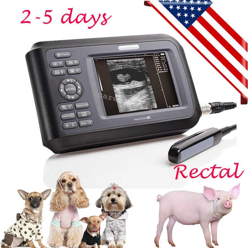 USA Veterinary Medical Digital PalmSmart Ultrasound Scanner Animal Rectal Probe 190891417367 DIAGNOSTIC ULTRASOUND MACHINES FOR SALE