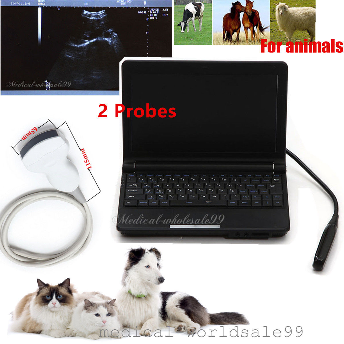 Medical Laptop Ultrasound Scanner/Machine Rectal Convex Probe Animals Veterinary DIAGNOSTIC ULTRASOUND MACHINES FOR SALE