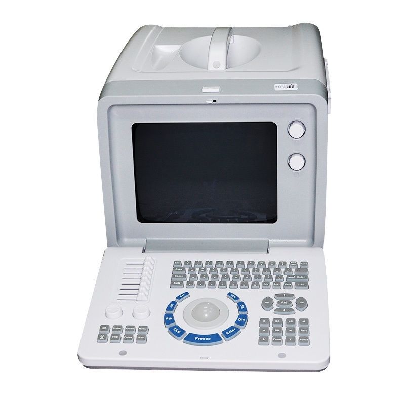 New Factory High Clear 3D Digital 10 INCH SVGA Ultrasound Scanner CONVEX Probe  190891761972 DIAGNOSTIC ULTRASOUND MACHINES FOR SALE