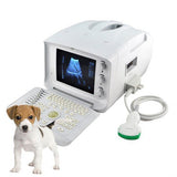 Vet Ultrasound Scanner/Machine Convex+Vet Rectal Probes Animals Pregnancy 3D  190891815767