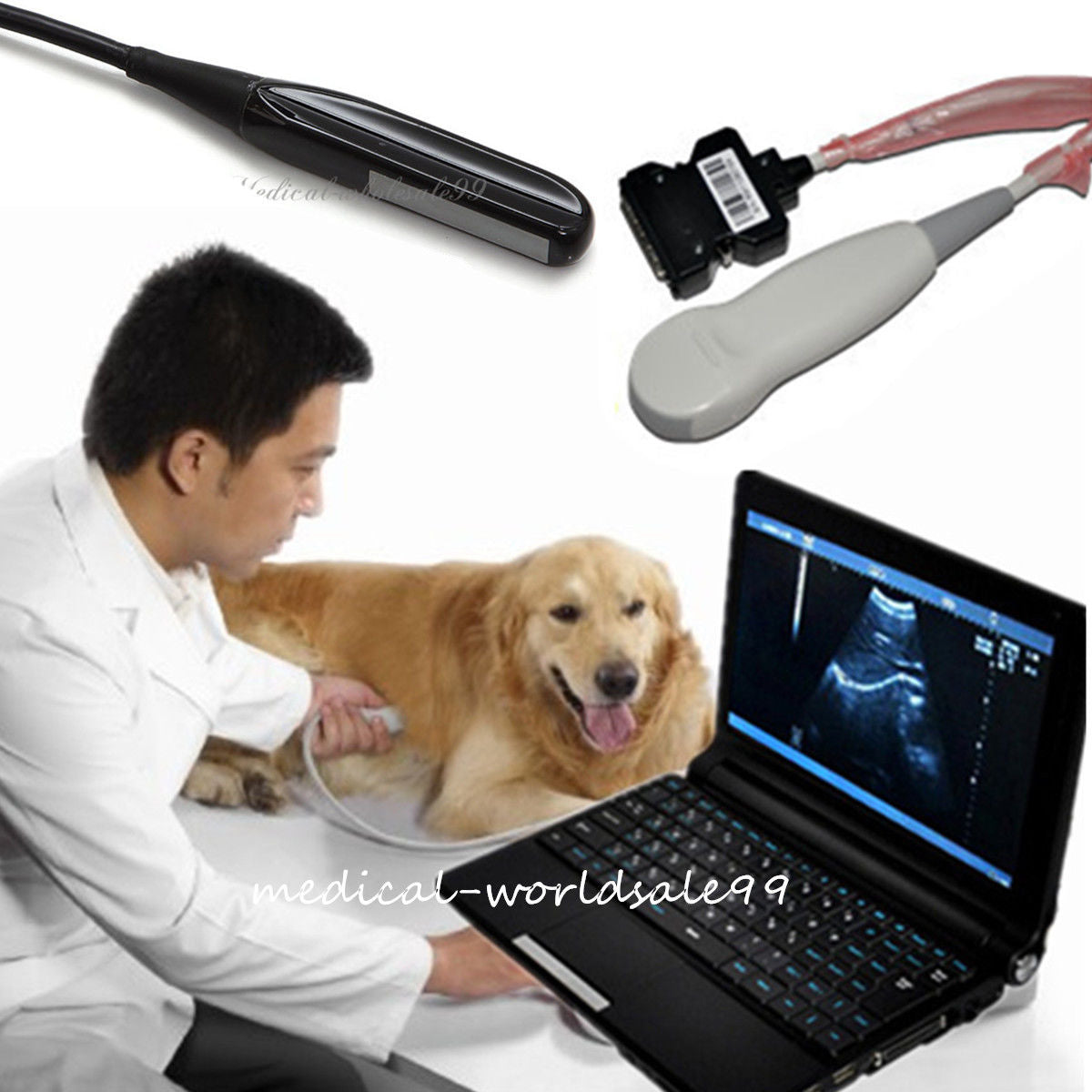 Veterinary Aminal Digital Laptop Ultrasound Scanner Machine Rectal Probe 3D Free 190891462343