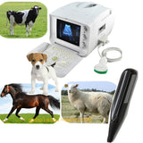 Veterianry Ultrasound Machine Scanner 3.5 Convex 6.5M Rectal Probe + 3D Software