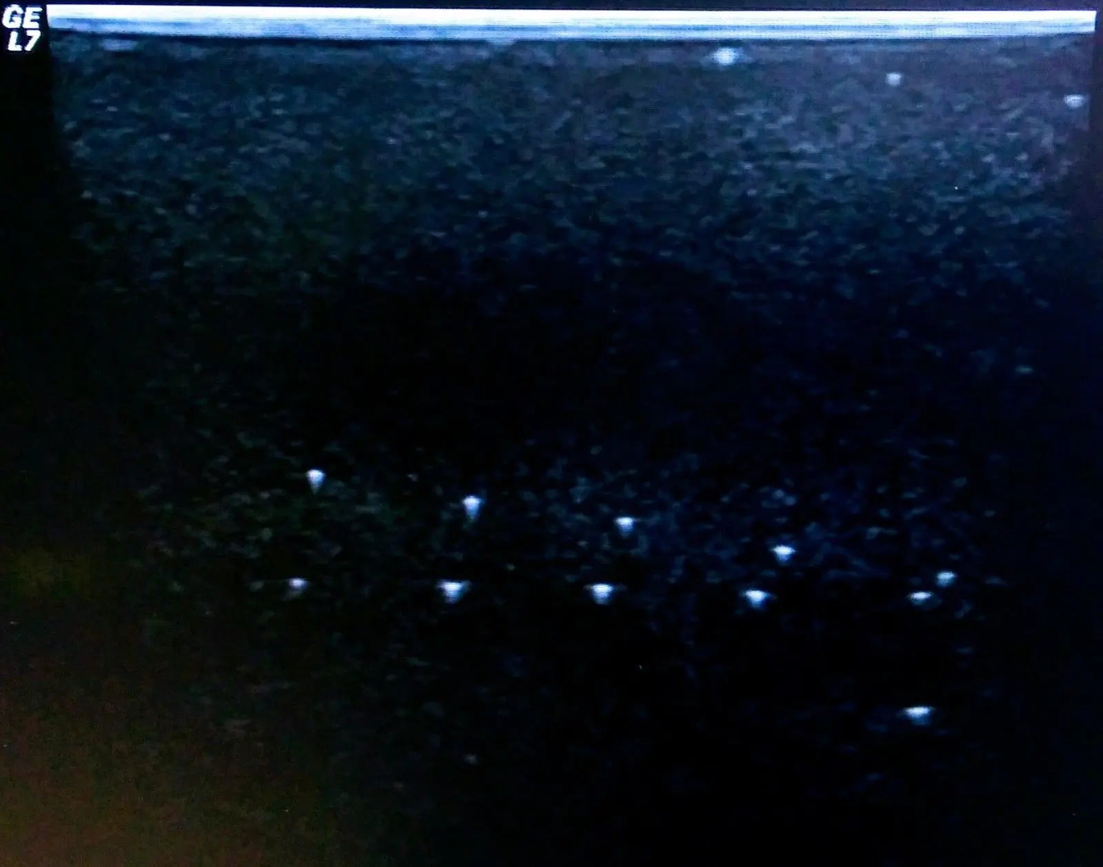 GE 10L Linear Ultrasound Transducer  for GE Logiq Systems DIAGNOSTIC ULTRASOUND MACHINES FOR SALE