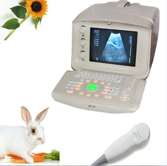 Vet Portable Ultrasound Scanner Machine Micro-Convex Probe 2 Probe CONNECTORS AA