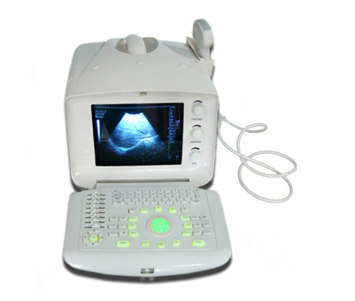 Portable Ultrasound Scanner w probe Convex+Micro convex heart Echo +3D software 190891057600 DIAGNOSTIC ULTRASOUND MACHINES FOR SALE