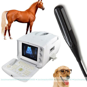 New Portable Vet Veterinary Ultrasound Scanner Machine + Rectal Probe Free 3D A+ 190891826916