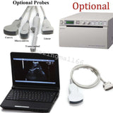 Veterinary vet Full Digital Laptop Ultrasound Scanner Micro-Convex Probe 3D Sale 190891712110