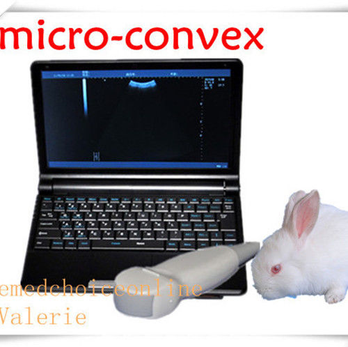Top VET Digital Laptop Ultrasound Scanner +Micro-convex Probe Little Amimal Use