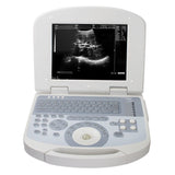USA FAST Portable Laptop Ultrasound Machine Scanner Convex probe 3D Software 190891045898