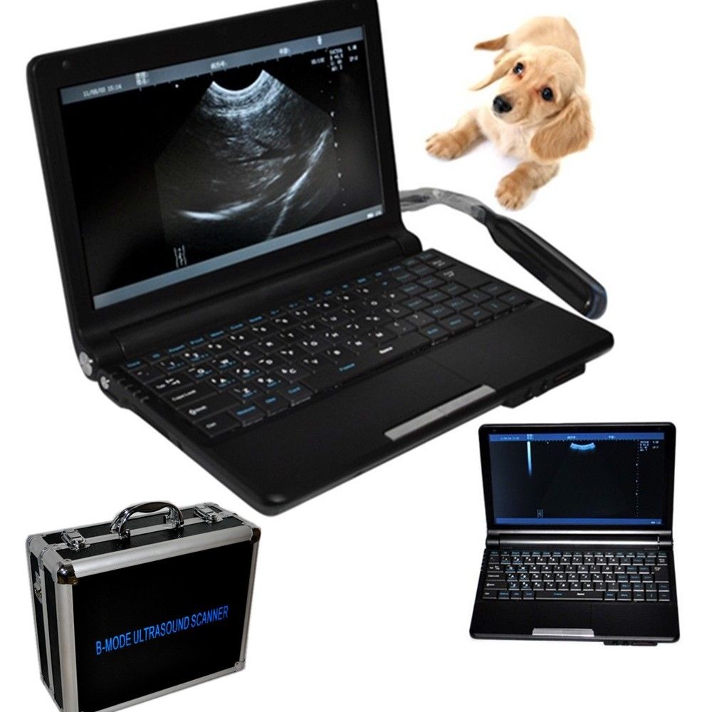 New Livestock Animal laptop Ultrasound Scanner Veterinary Endo+Rectal probe Goat DIAGNOSTIC ULTRASOUND MACHINES FOR SALE