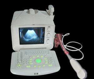 Medical Ultrasound Scanner/Machine 5.0 Micro-convex Array Probe Factory SEll CE* 190891843524